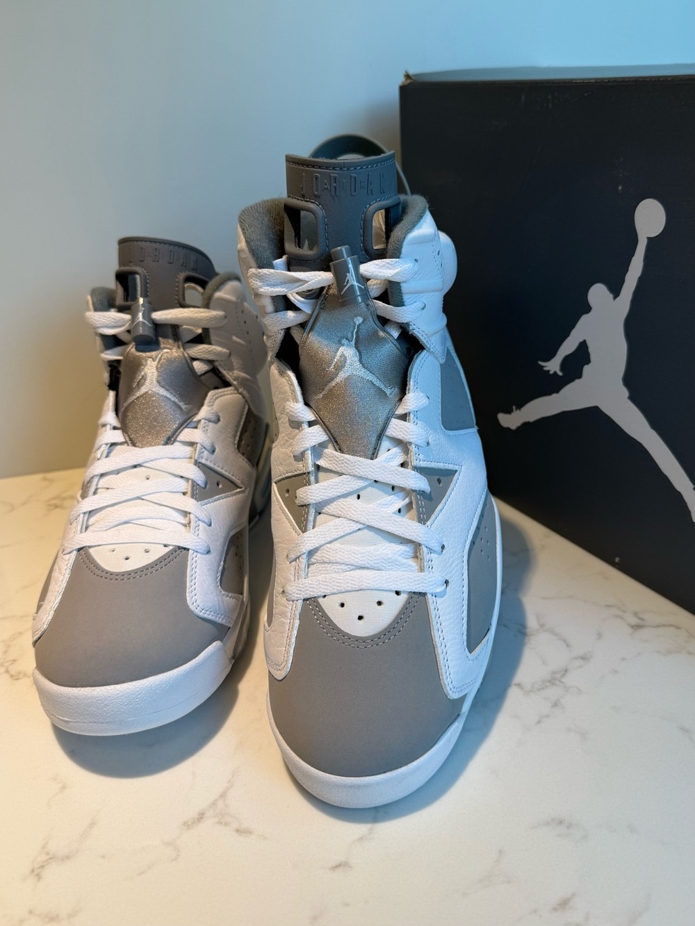 Air Jordan 6 Retro Cool Grey Men’s 10 CT8529-100 New in Box